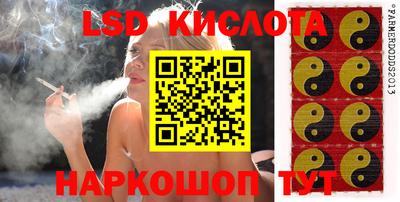 Альфа ПВП Кингисепп