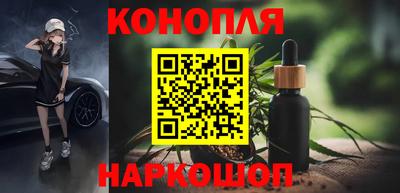 Альфа ПВП Кингисепп