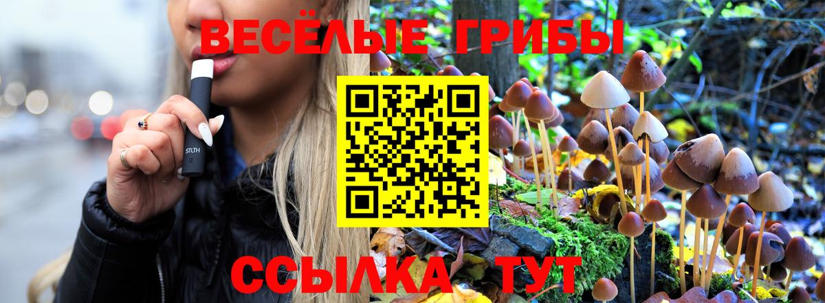 Псилоцибиновые грибы прущие грибы Красноярск
